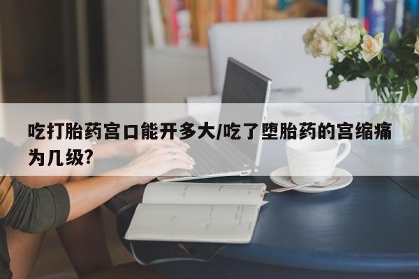 药流药怎么买吃打胎药宫口能开多大/吃了堕胎药的宫缩痛为几级?