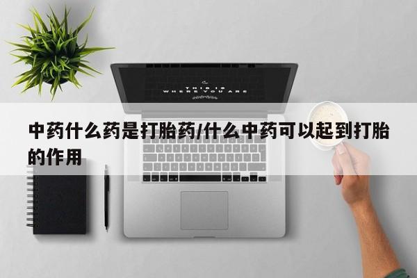 药流药怎么买中药什么药是打胎药/什么中药可以起到打胎的作用