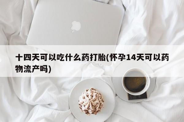药流药怎么买十四天可以吃什么药打胎(怀孕14天可以药物流产吗)
